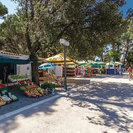 公寓 2 Bedroom Stunning In *